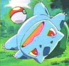 catching bulbasaur.jpg (15157 bytes)